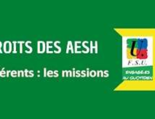 Mise en place de postes d’AESH « référent.es ». Quelles missions ?