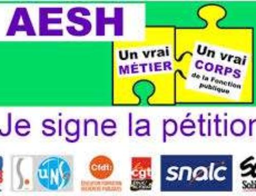 Pétition intersyndicale : un statut pour les AESH !